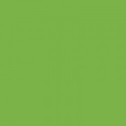 SC41 - Fluo Green