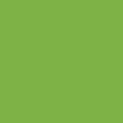 SC67 - Apple Green