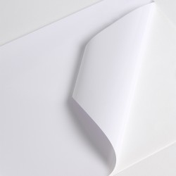 V241WG1 - White Gloss adh permanent clear